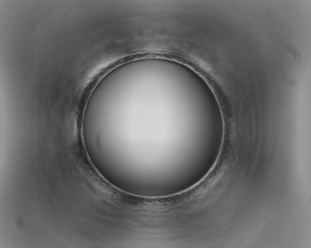 X0000115721214200911121443