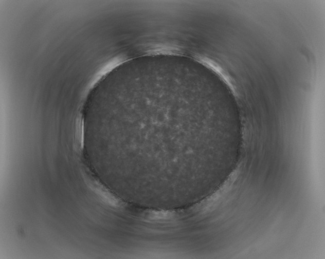 X0000115721219200911121444