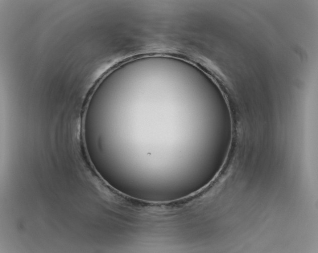 X0000115721220200911121444