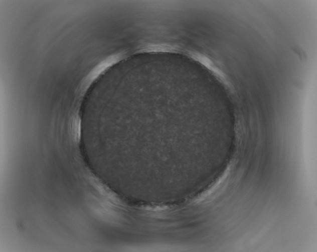 X0000115721221200911121444