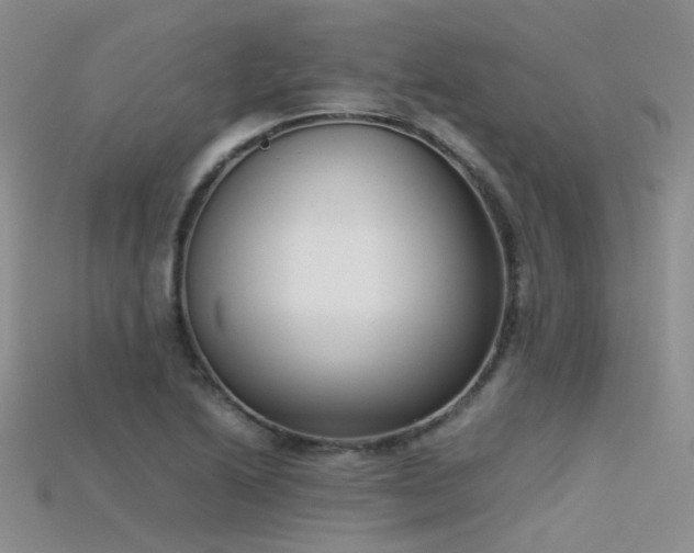 X0000115721222200911121444