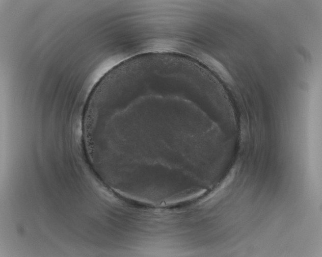 X0000115721226200911121444