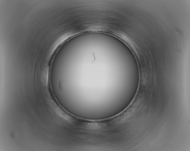 X0000115721227200911121444