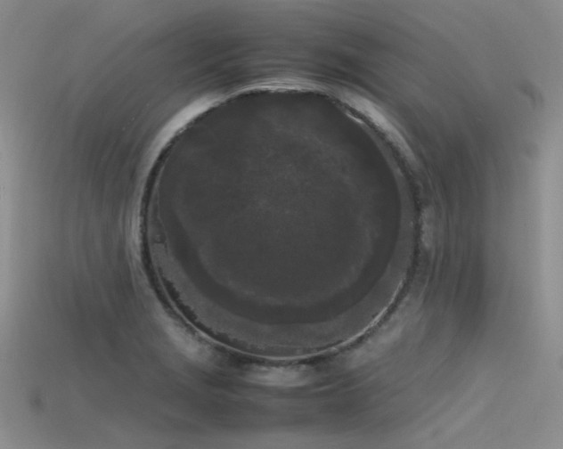 X0000115721229200911121444