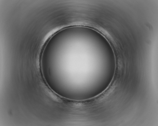 X0000115721230200911121444