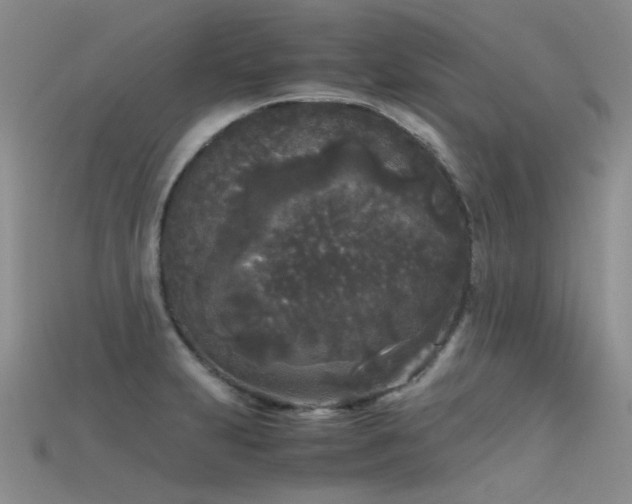 X0000115721231200911121444