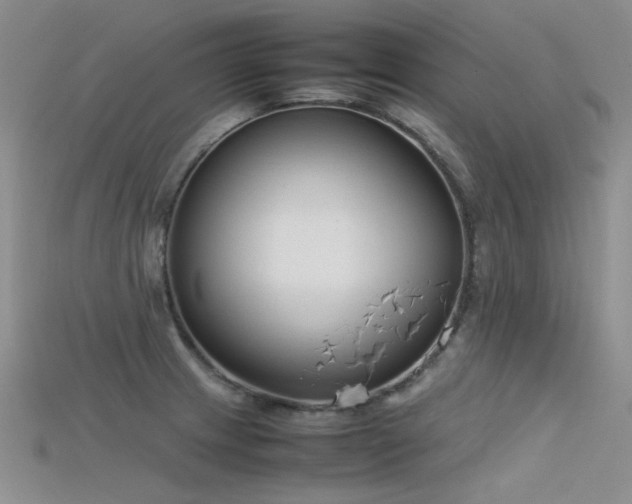 X0000115721233200911121444