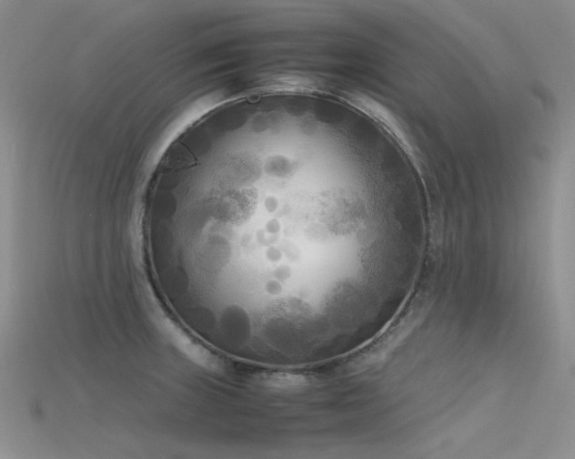 X0000115721235200911121444