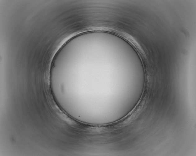 X0000115721236200911121444