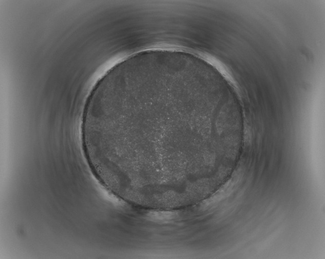 X0000115721237200911121444