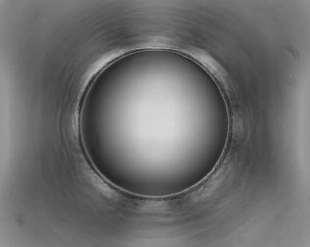 X0000115721238200911121444