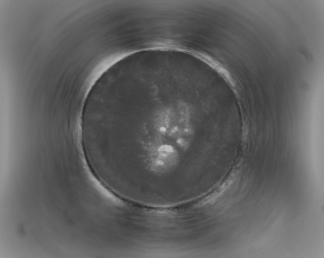 X0000115721239200911121444