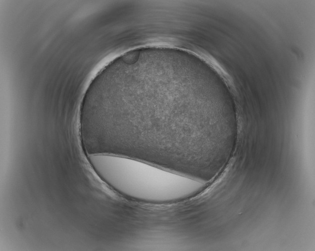 X0000115721240200911121444