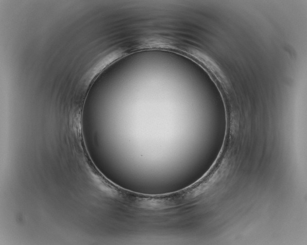 X0000115721241200911121444