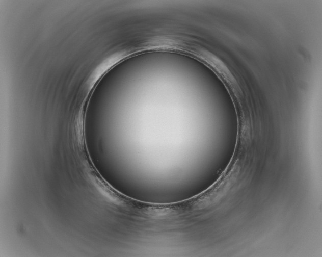 X0000115721242200911121444