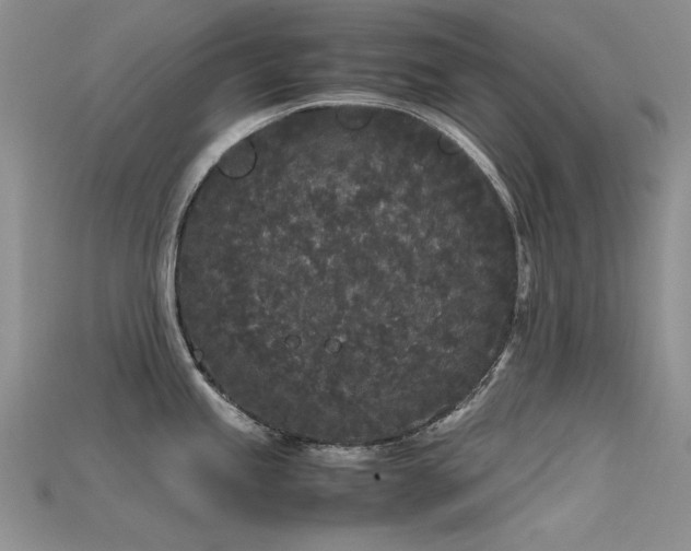 X0000115721245200911121444