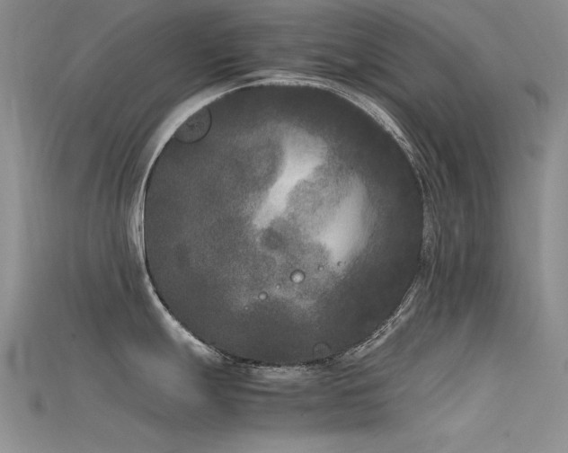 X0000115721247200911121444