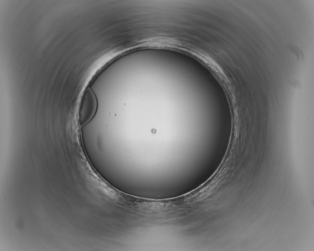 X0000115721248200911121444
