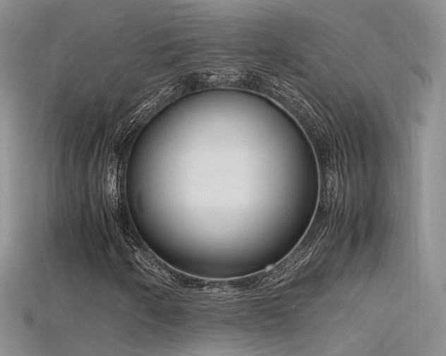 X0000115721250200911121443
