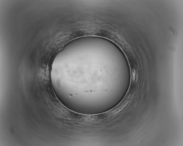 X0000115721251200911121443