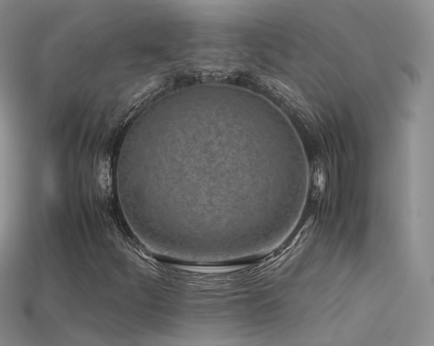 X0000115721252200911121443