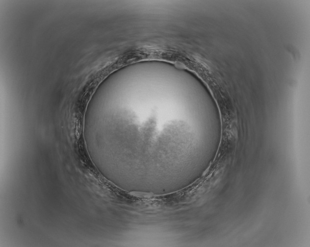 X0000115721253200911121443