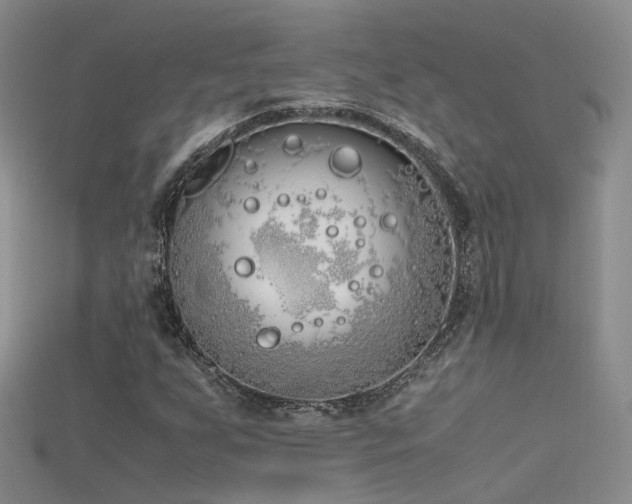 X0000115721255200911121443