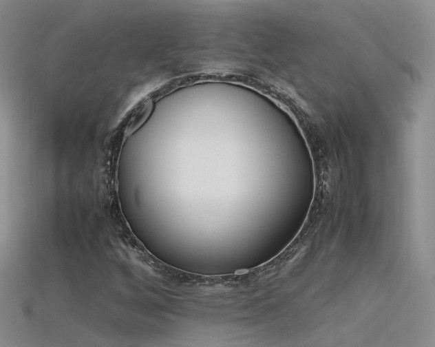X0000115721256200911121443