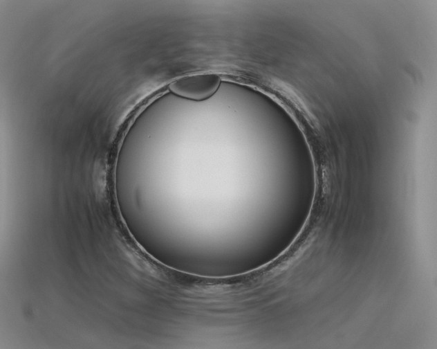 X0000115721260200911121443