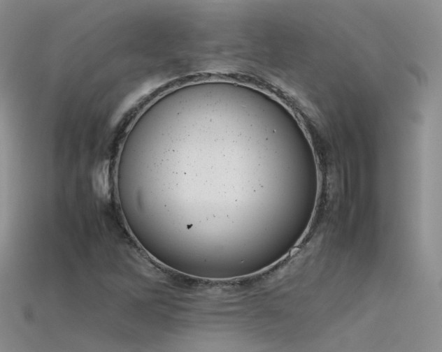 X0000115721262200911121443