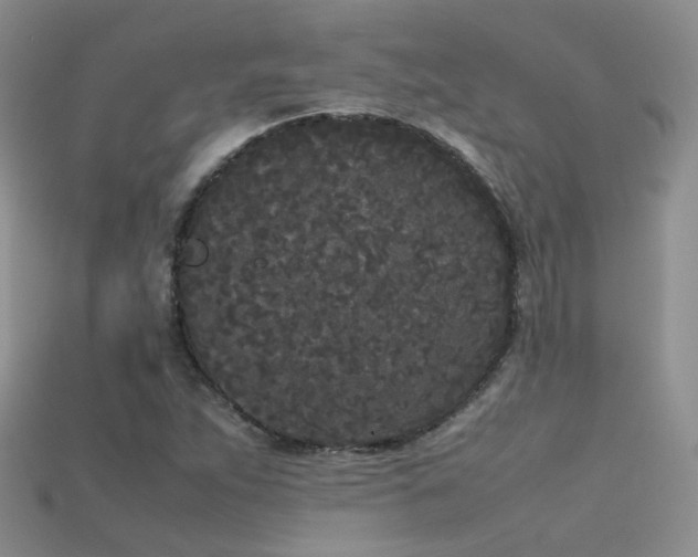 X0000115721263200911121443