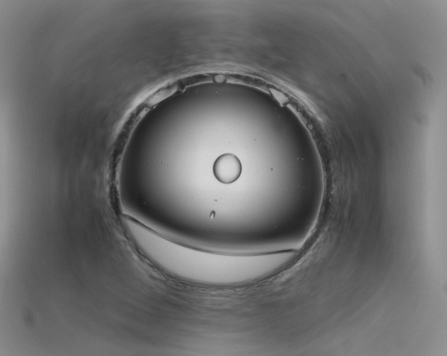 X0000115721264200911121443