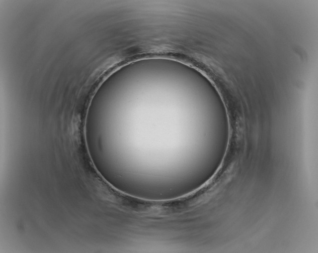 X0000115721265200911121443