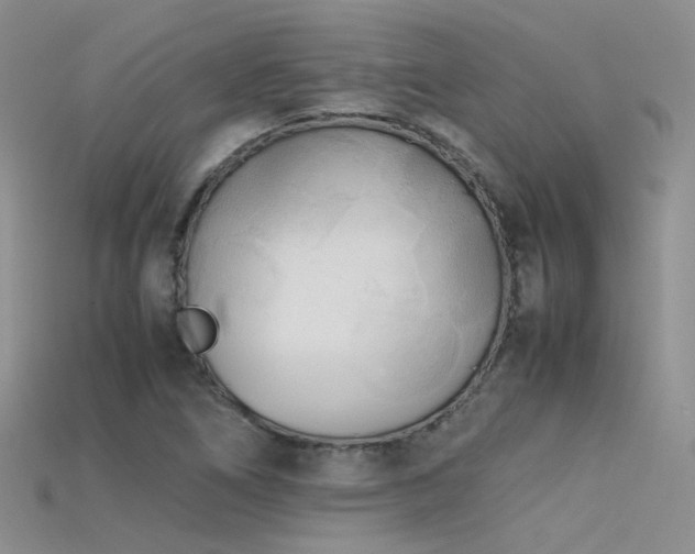 X0000115721266200911121443