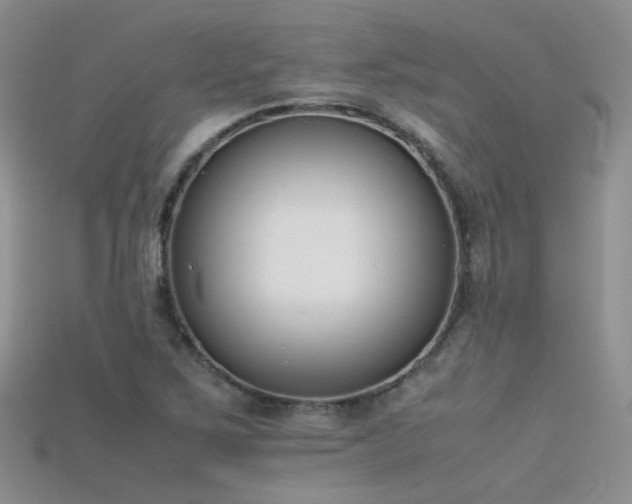 X0000115721267200911121443