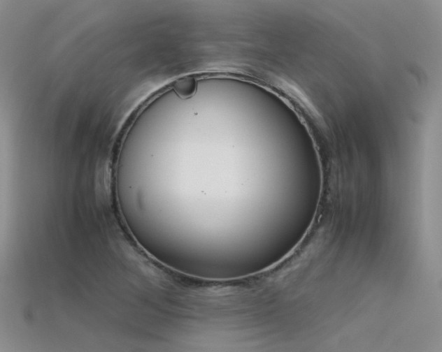 X0000115721268200911121443