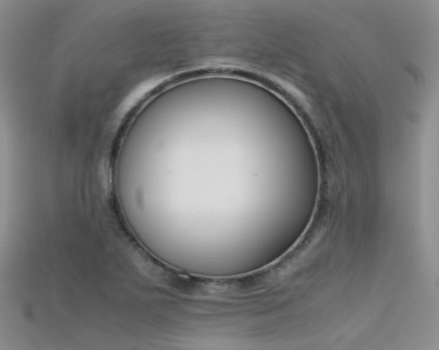 X0000115721271200911121443