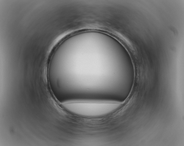 X0000115721272200911121443