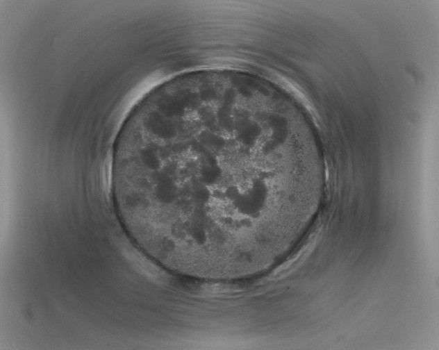 X0000115721275200911121443