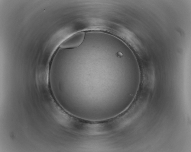 X0000115721276200911121443