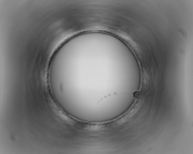 X0000115721278200911121443