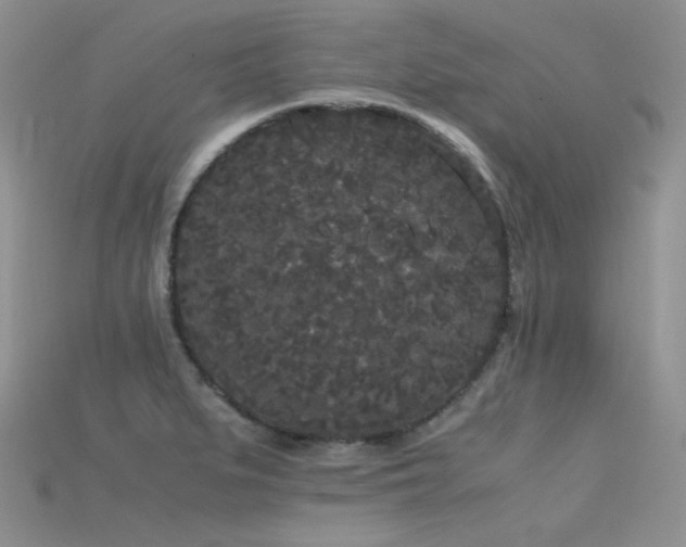 X0000115721279200911121443
