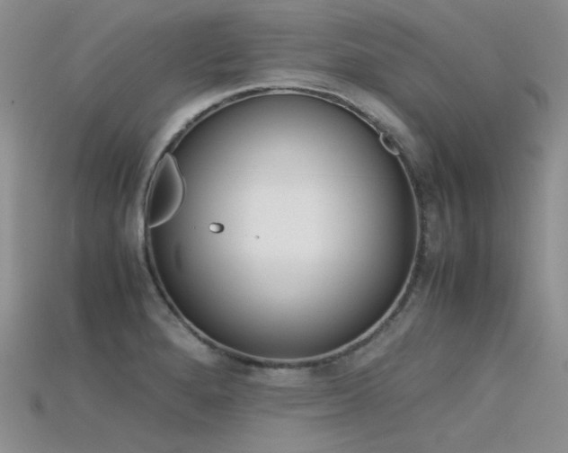 X0000115721280200911121443