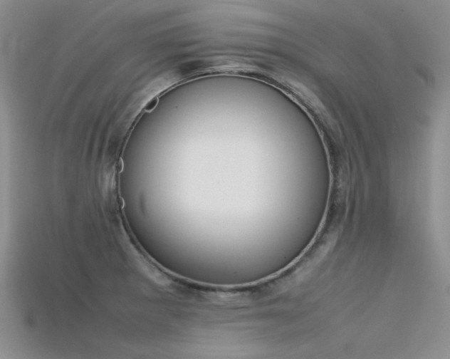 X0000115721281200911121443
