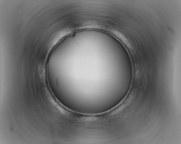 X0000115721282200911121443