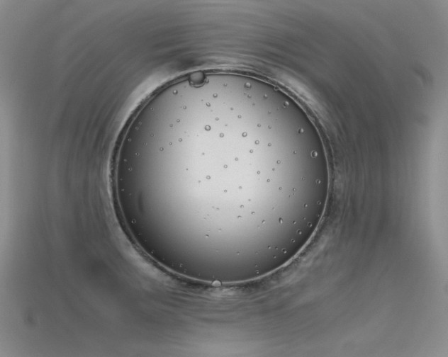 X0000115721283200911121443