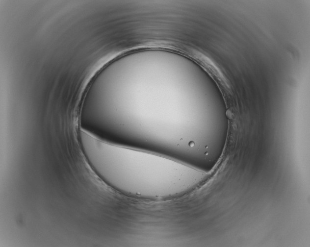 X0000115721284200911121443