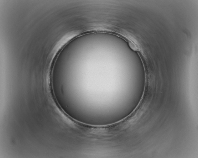 X0000115721285200911121443