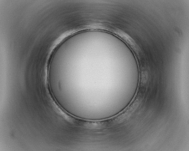 X0000115721286200911121443