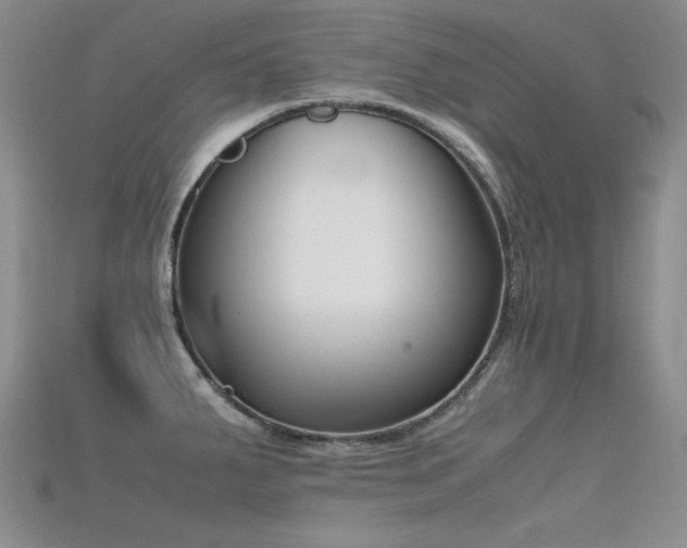 X0000115721287200911121443